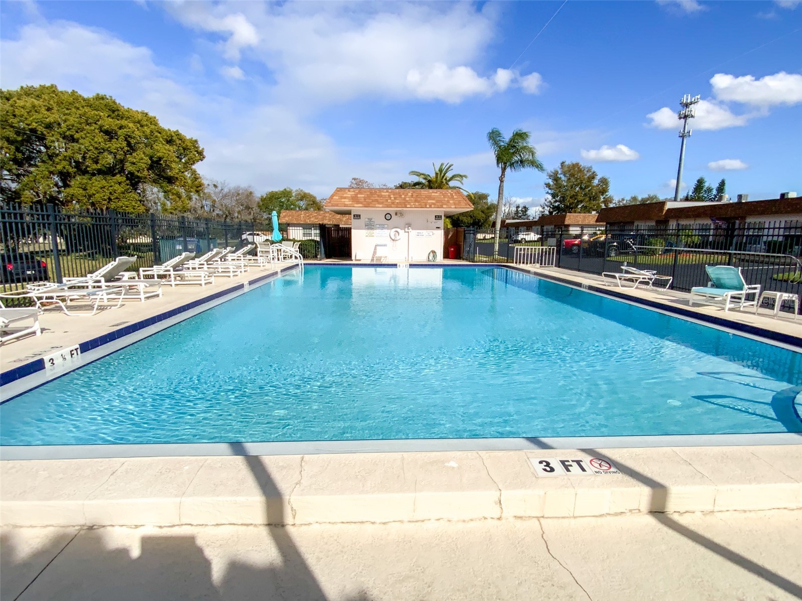 6036 Chesham Drive #5 New Port Richey FL 34653 TB8484100 image21