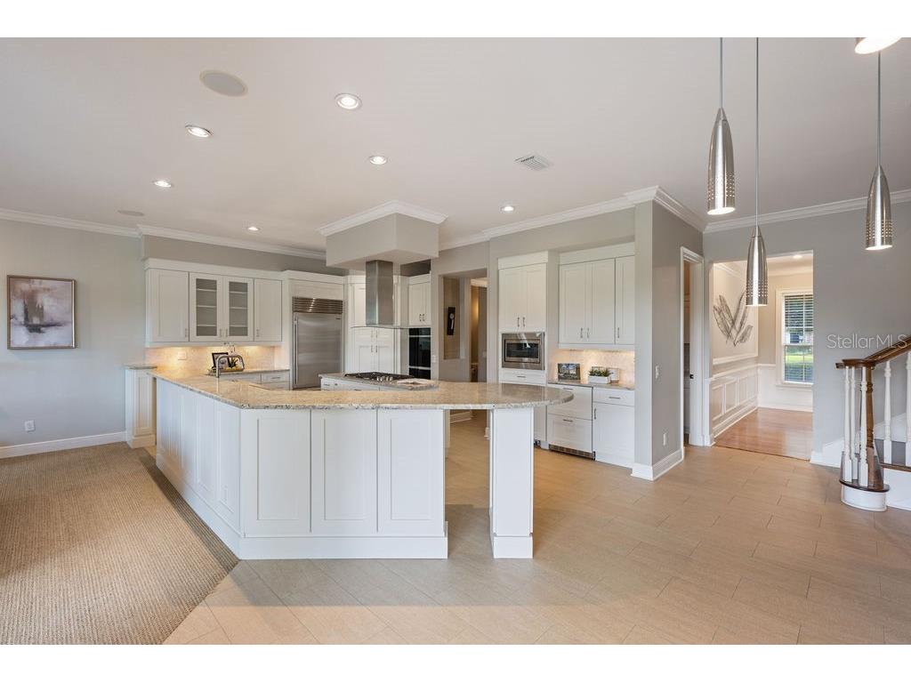 6036 Greatwater Dr Windermere FL 34786 - LAKE BURDEN O6332988 image17