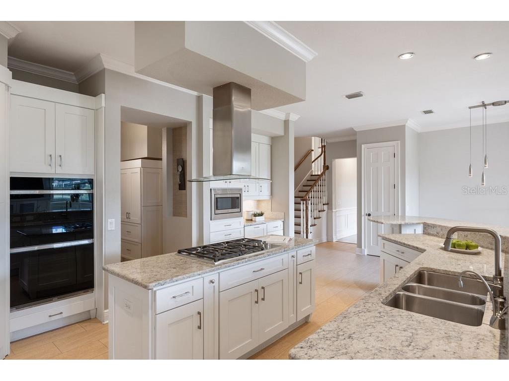 6036 Greatwater Dr Windermere FL 34786 - LAKE BURDEN O6332988 image18