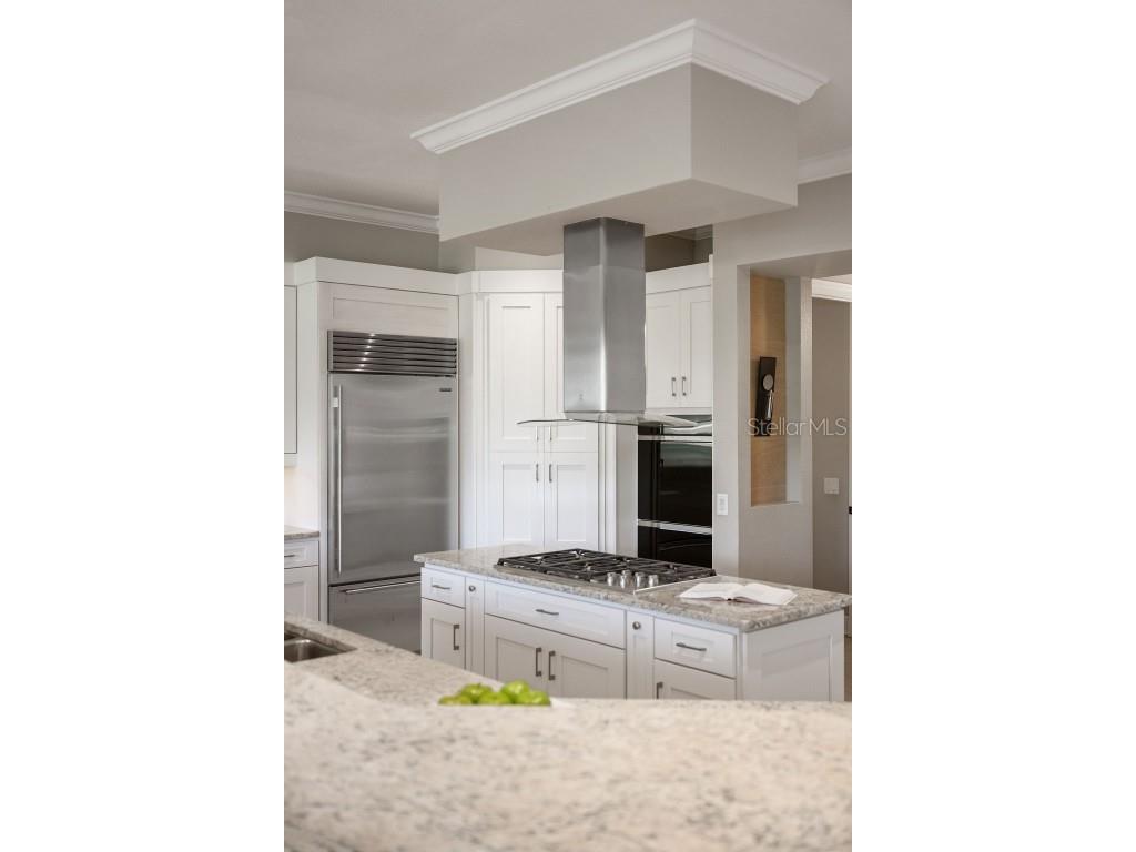 6036 Greatwater Dr Windermere FL 34786 - LAKE BURDEN O6332988 image19