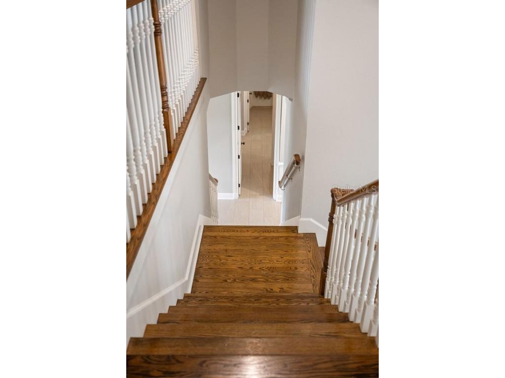 6036 Greatwater Dr Windermere FL 34786 - LAKE BURDEN O6332988 image34