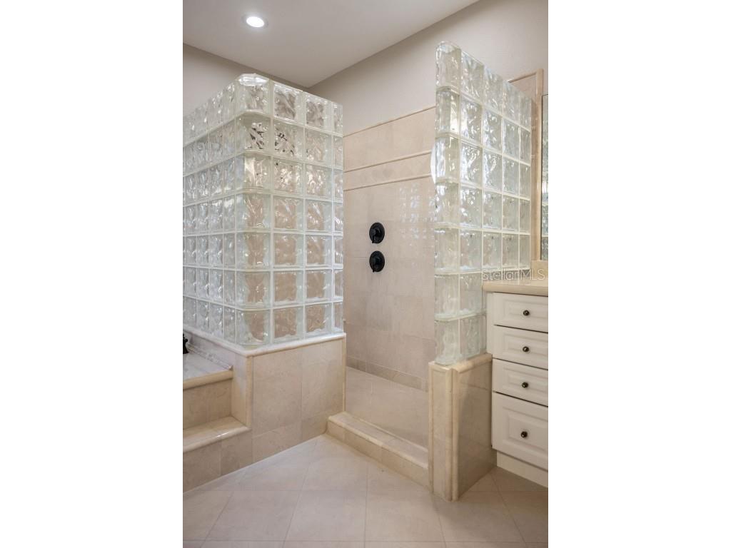 6036 Greatwater Dr Windermere FL 34786 - LAKE BURDEN O6332988 image44