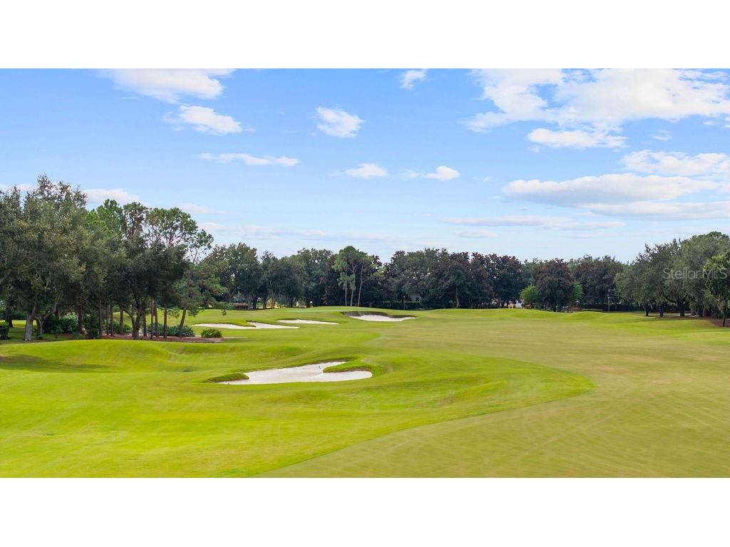 6036 Greatwater Dr Windermere FL 34786 - LAKE BURDEN O6332988 image55