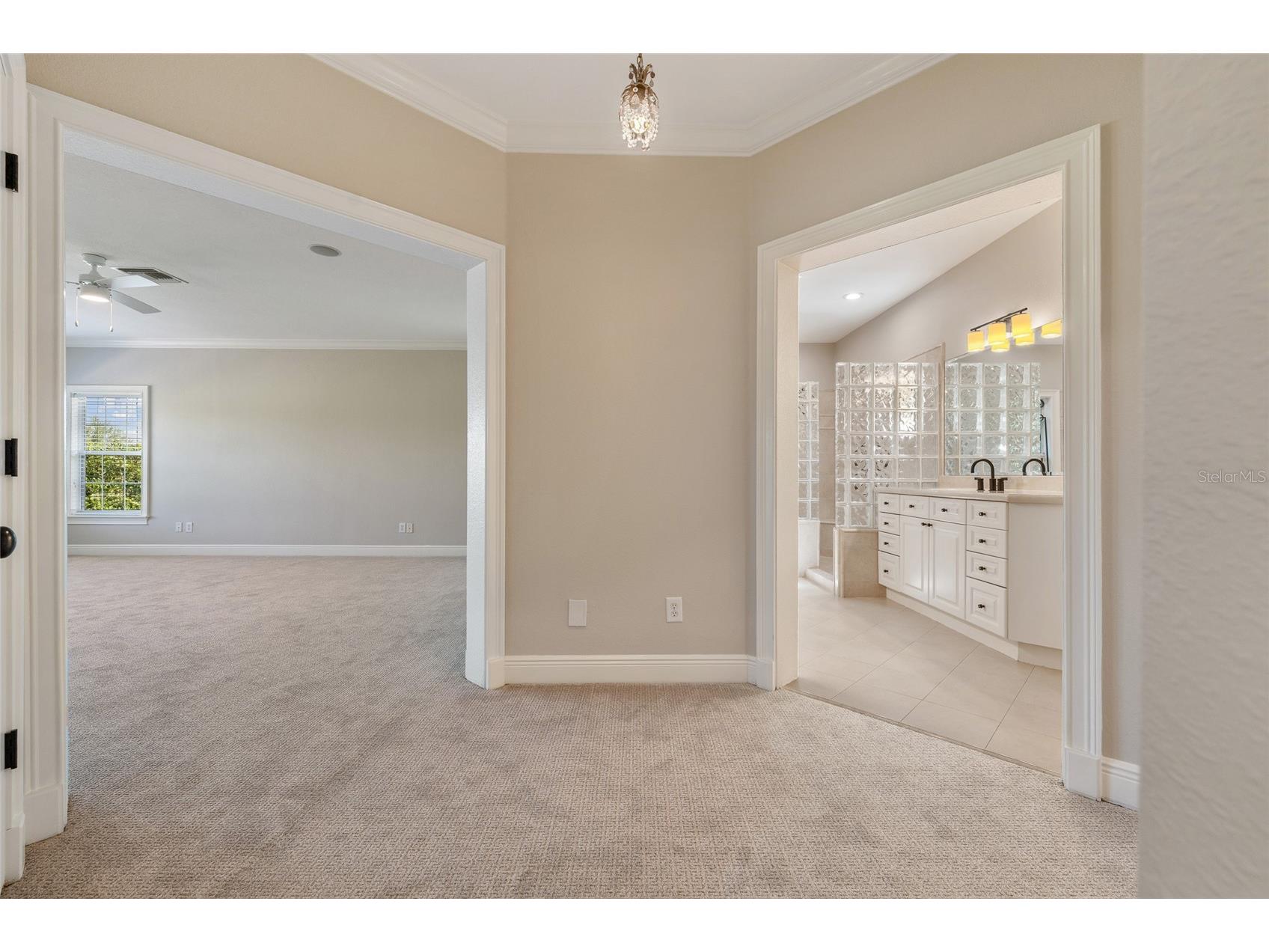 6036 Greatwater Dr Windermere FL 34786 - LAKE BURDEN O6400277 image22