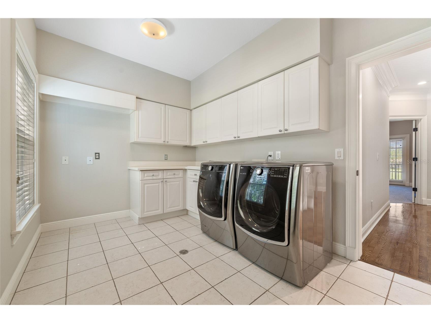 6036 Greatwater Dr Windermere FL 34786 - LAKE BURDEN O6400277 image35