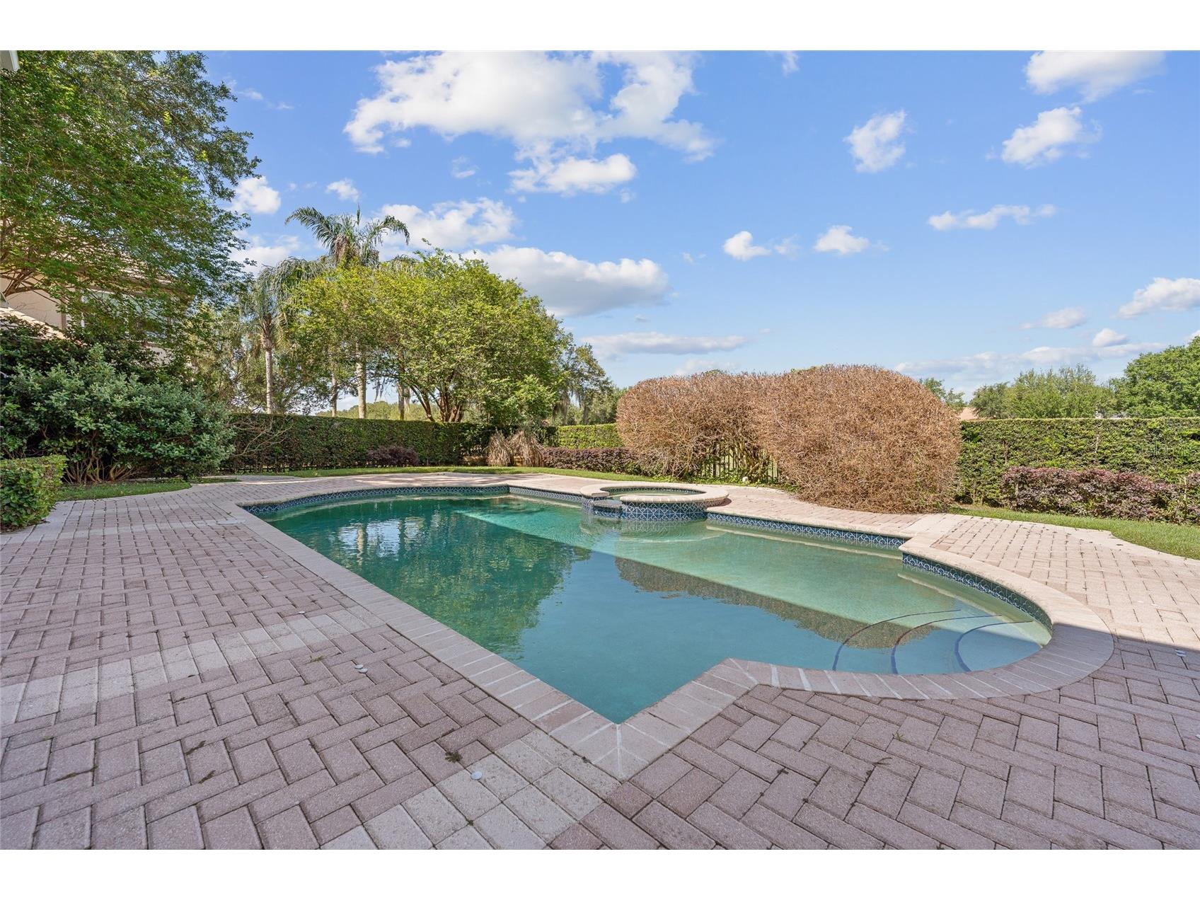 6036 Greatwater Dr Windermere FL 34786 - LAKE BURDEN O6400277 image40