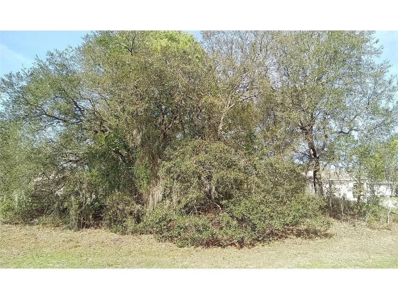 6036 N Bedstrow Boulevard Citrus Springs FL 34434 OM676314 image1