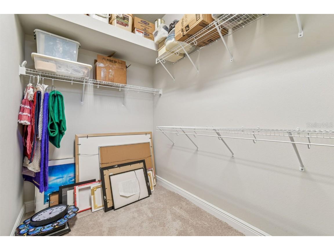 6036 Plover Meadow Street Lithia FL 33547 TB8461514 image23