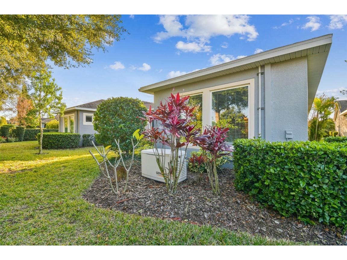 6036 Plover Meadow Street Lithia FL 33547 TB8461514 image35