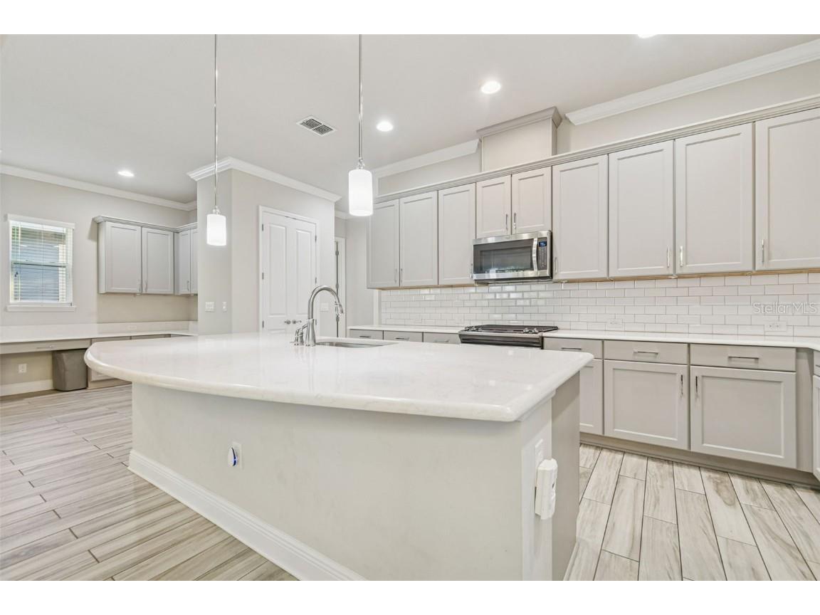 6036 Plover Meadow Street Lithia FL 33547 TB8461514 image7