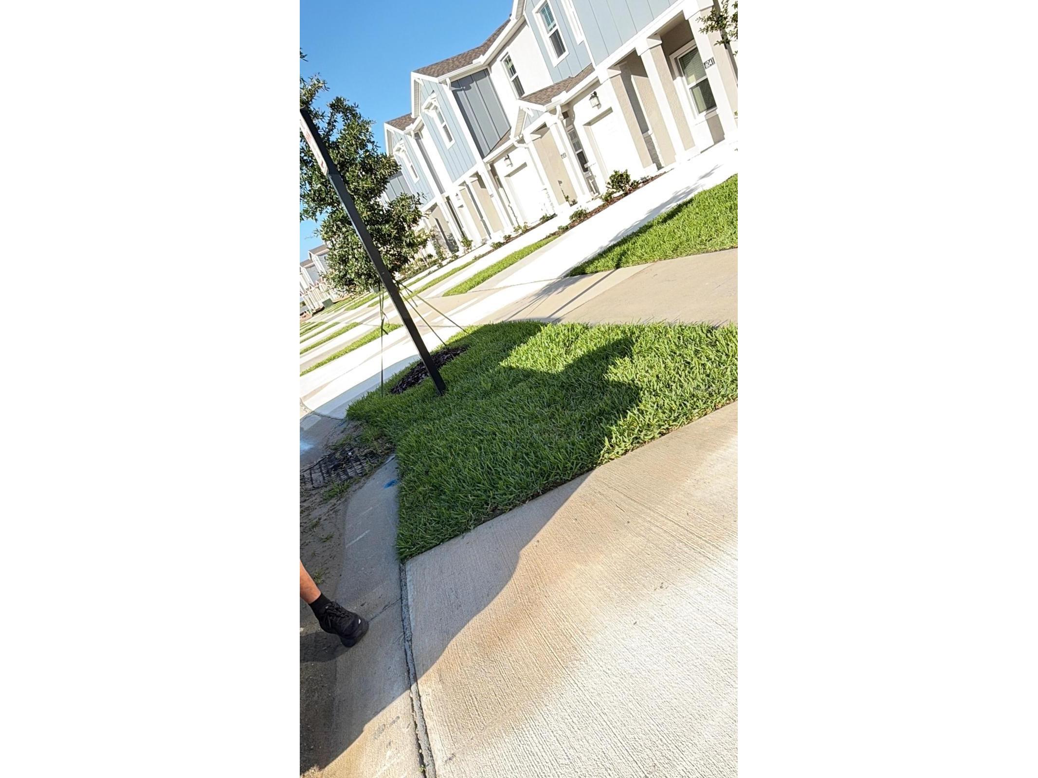 6037 Zen Way Clermont FL 34714 S5150331 image6