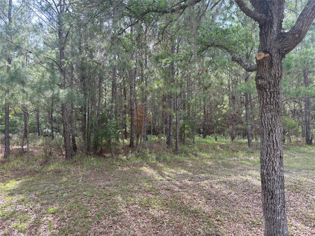 6038 NW 90th Street Gainesville FL 32653 GC521792 image5