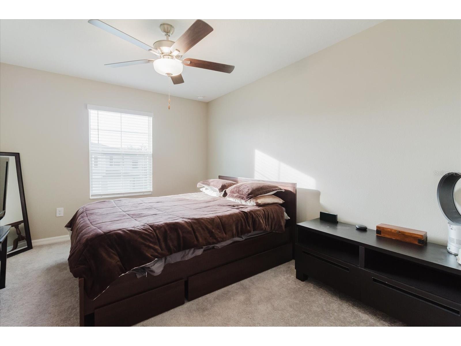 6038 Shiner Street Land O Lakes FL 34638 TB8464238 image20