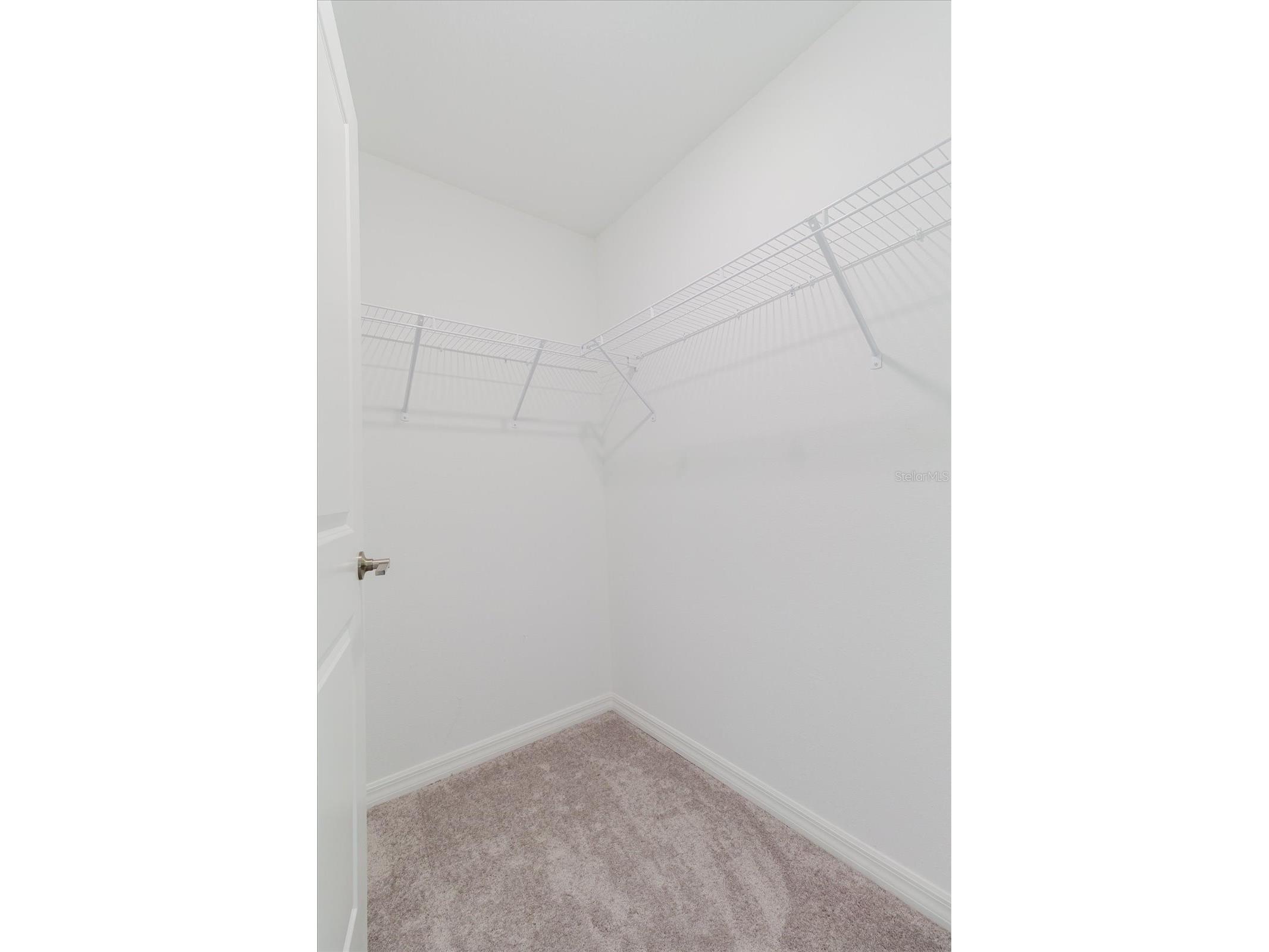 6038 Shiner Street Land O Lakes FL 34638 TB8464238 image25
