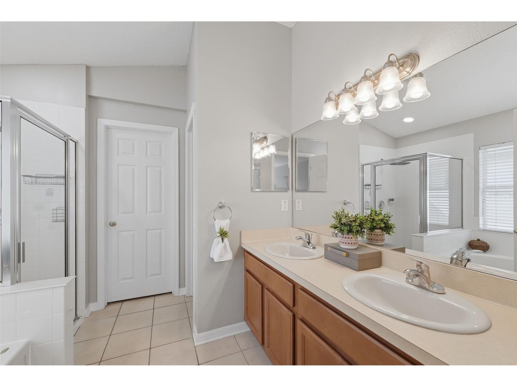 6039 Desert Peace Avenue Land O Lakes FL 34639 TB8473562 image28