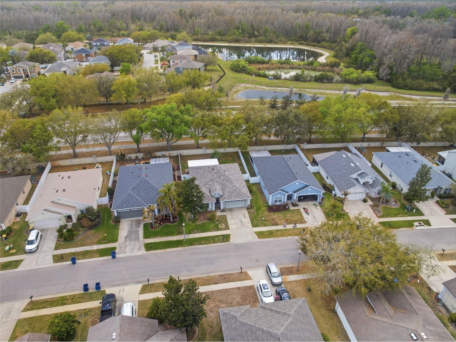 6039 Desert Peace Avenue Land O Lakes FL 34639 TB8473562 image47