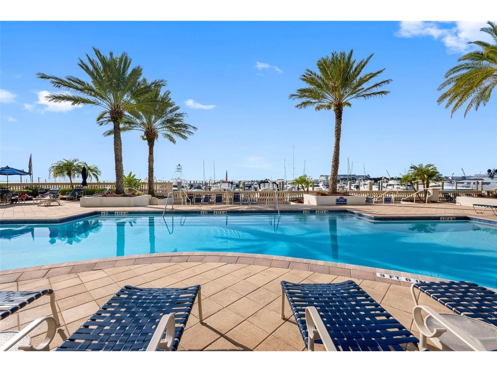 6039 Printery Street #101 Tampa FL 33616 - TAMPA BAY TB8465806 image48