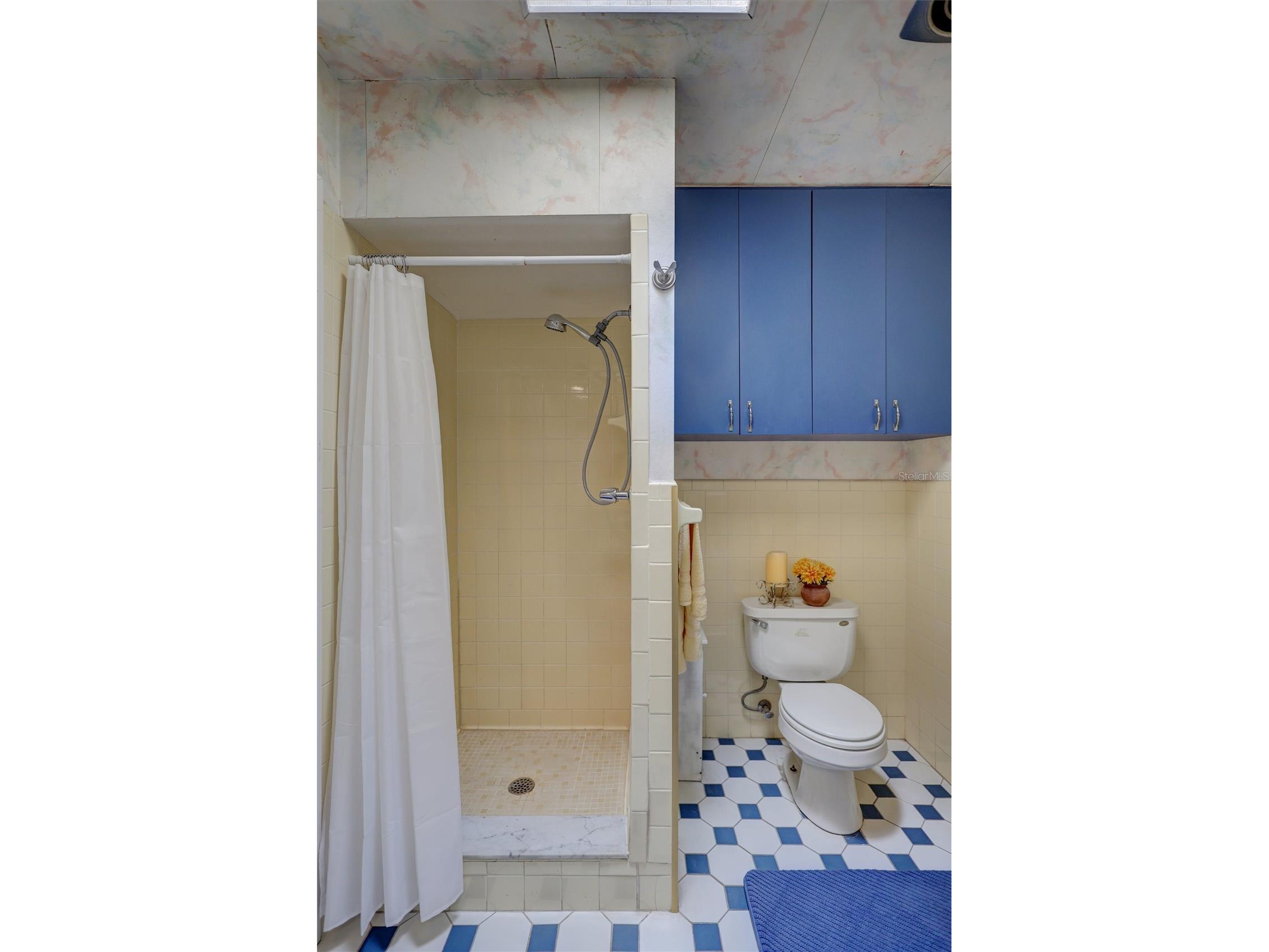 604 E Davis Boulevard Tampa FL 33606 - HILLSBOROUGH BAY/ SEDDON CH TB8512939 image18