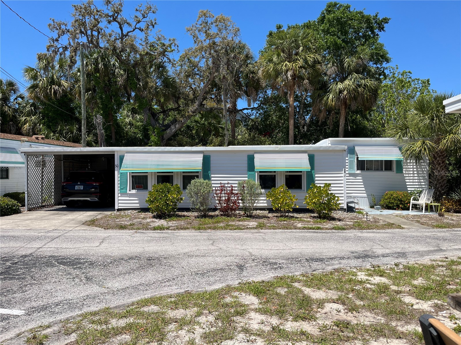 604 Hillsborough Street #30 Palm Harbor FL 34683 TB8437666 image1