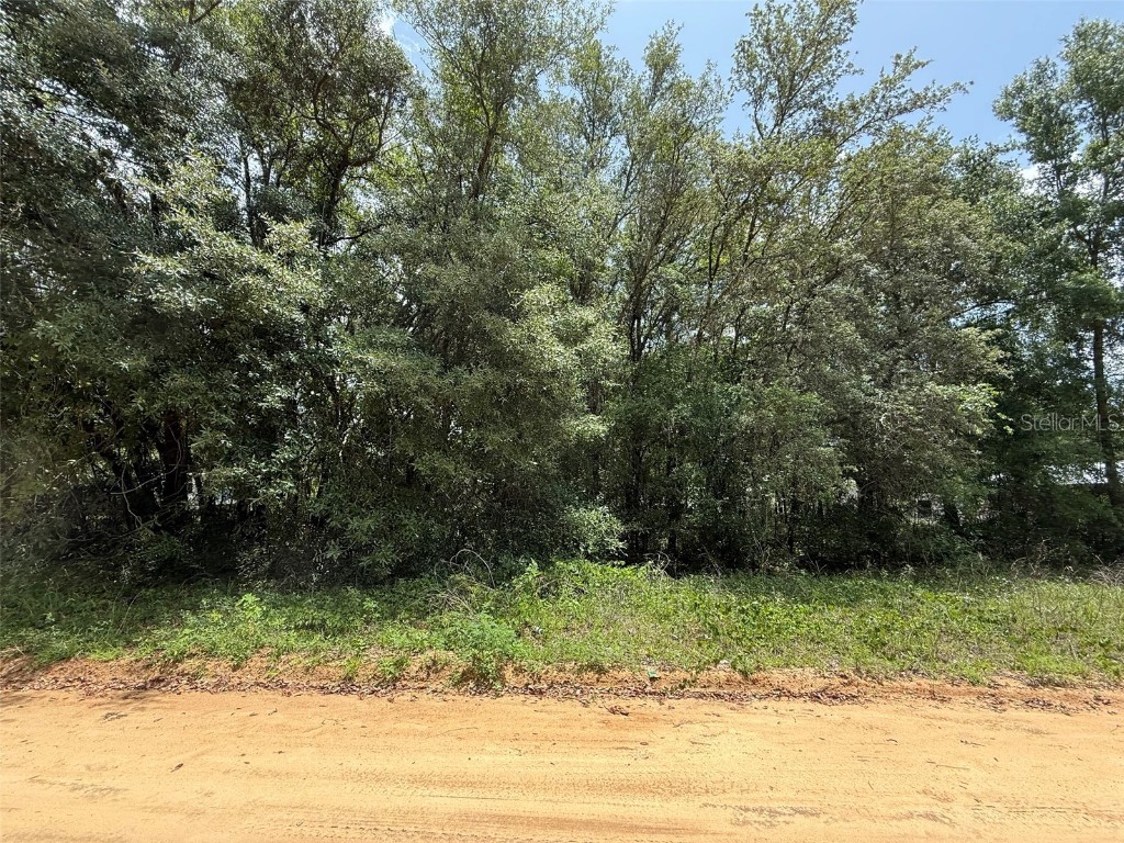 604 Kitty Interlachen FL 32148 OK225253 image1