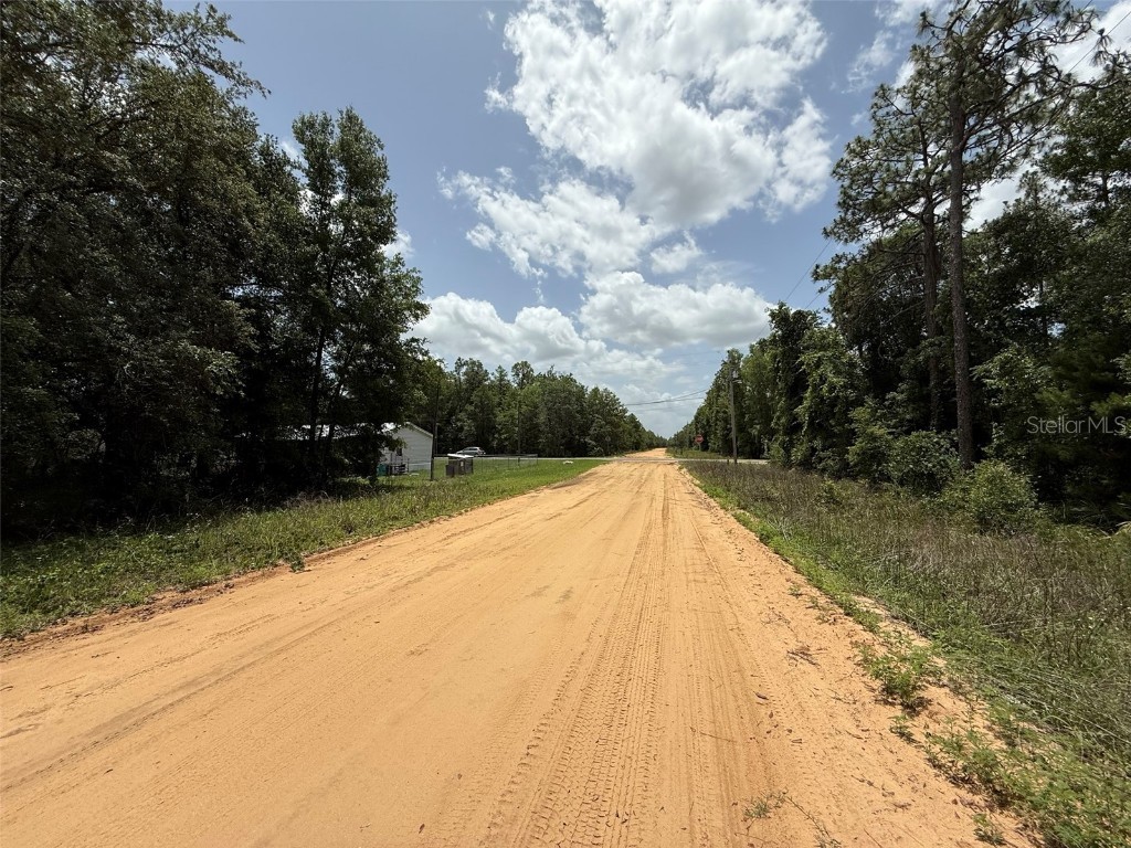 604 Kitty Interlachen FL 32148 OK225253 image4