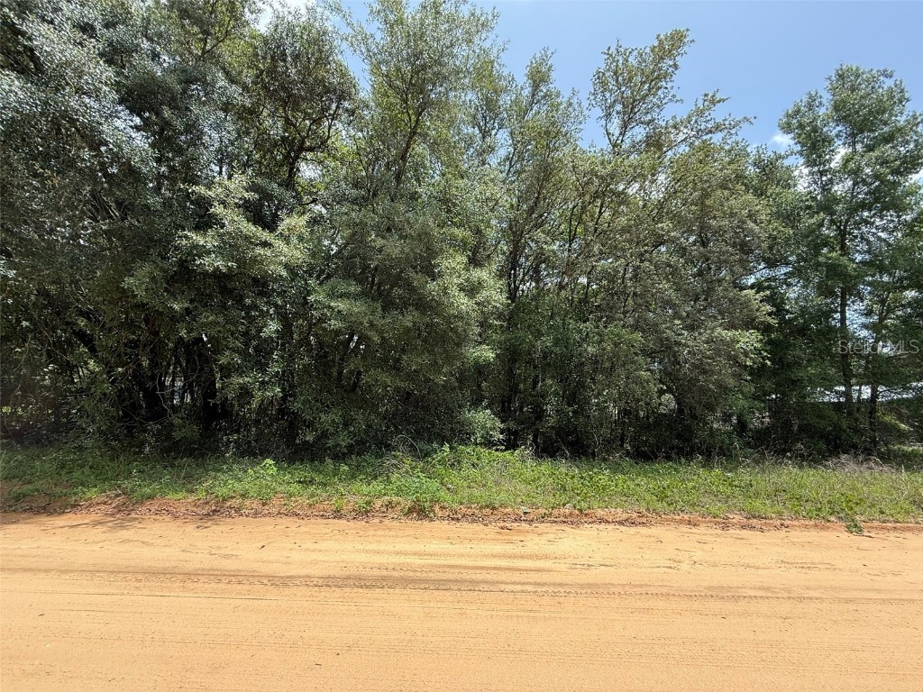 604 Kitty Interlachen FL 32148 OK225253 image5