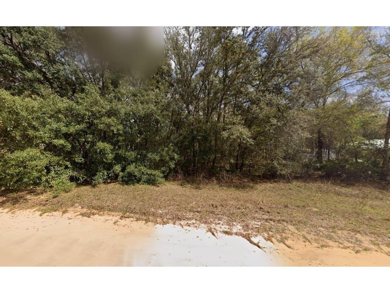 604 Kitty Interlachen FL 32148 OK225253 image6