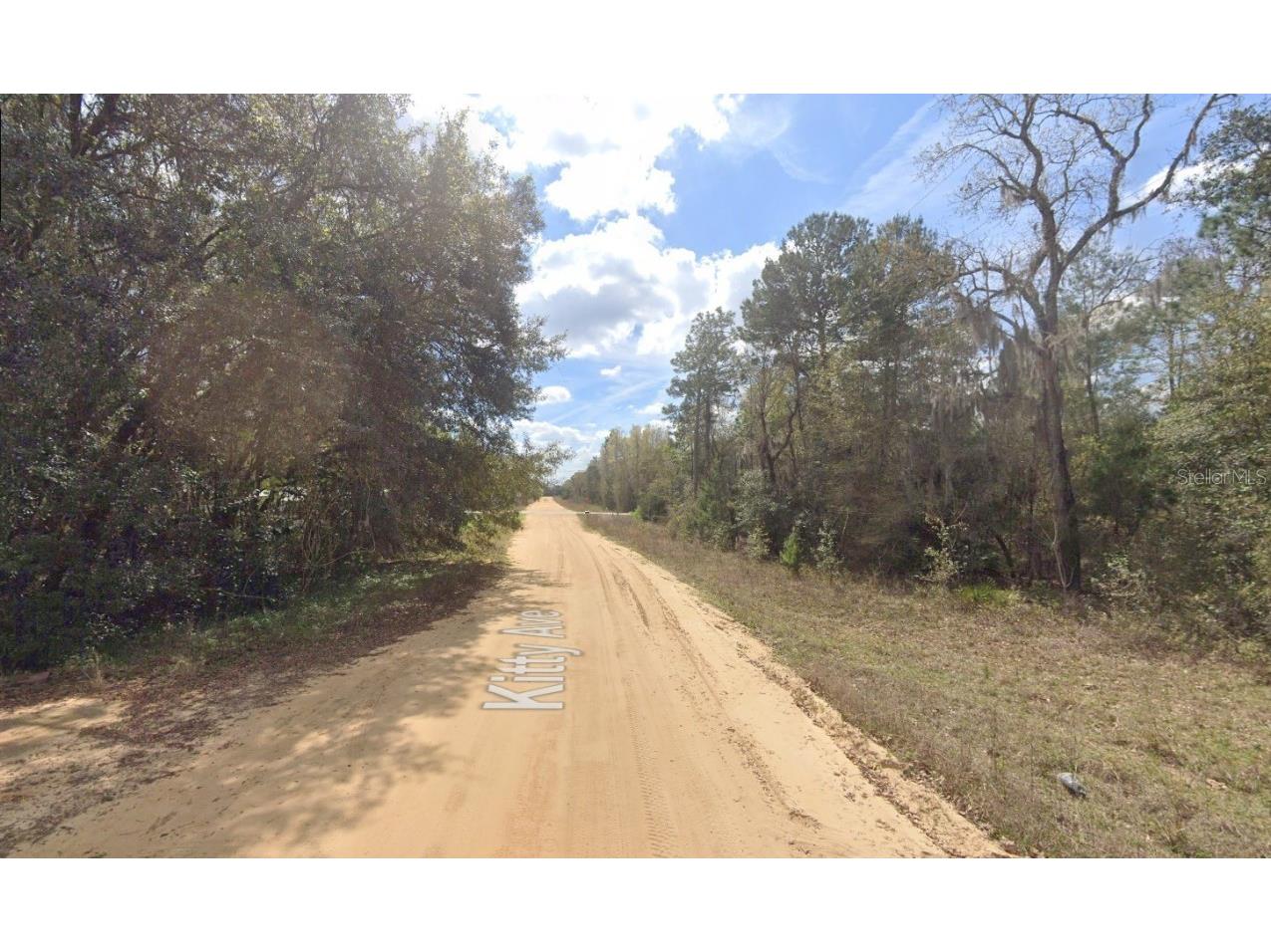 604 Kitty Interlachen FL 32148 OK225253 image7