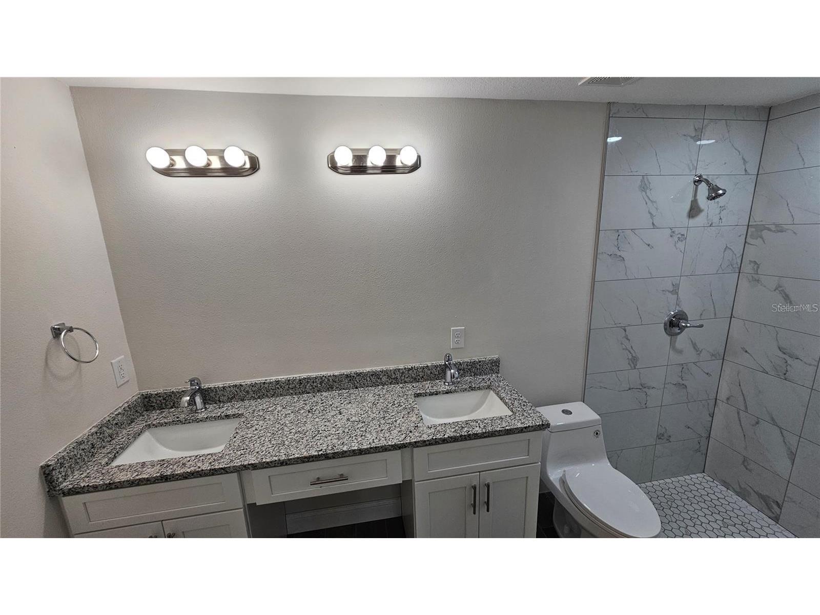604 Lime Avenue Dundee FL 33838 L4961758 image8