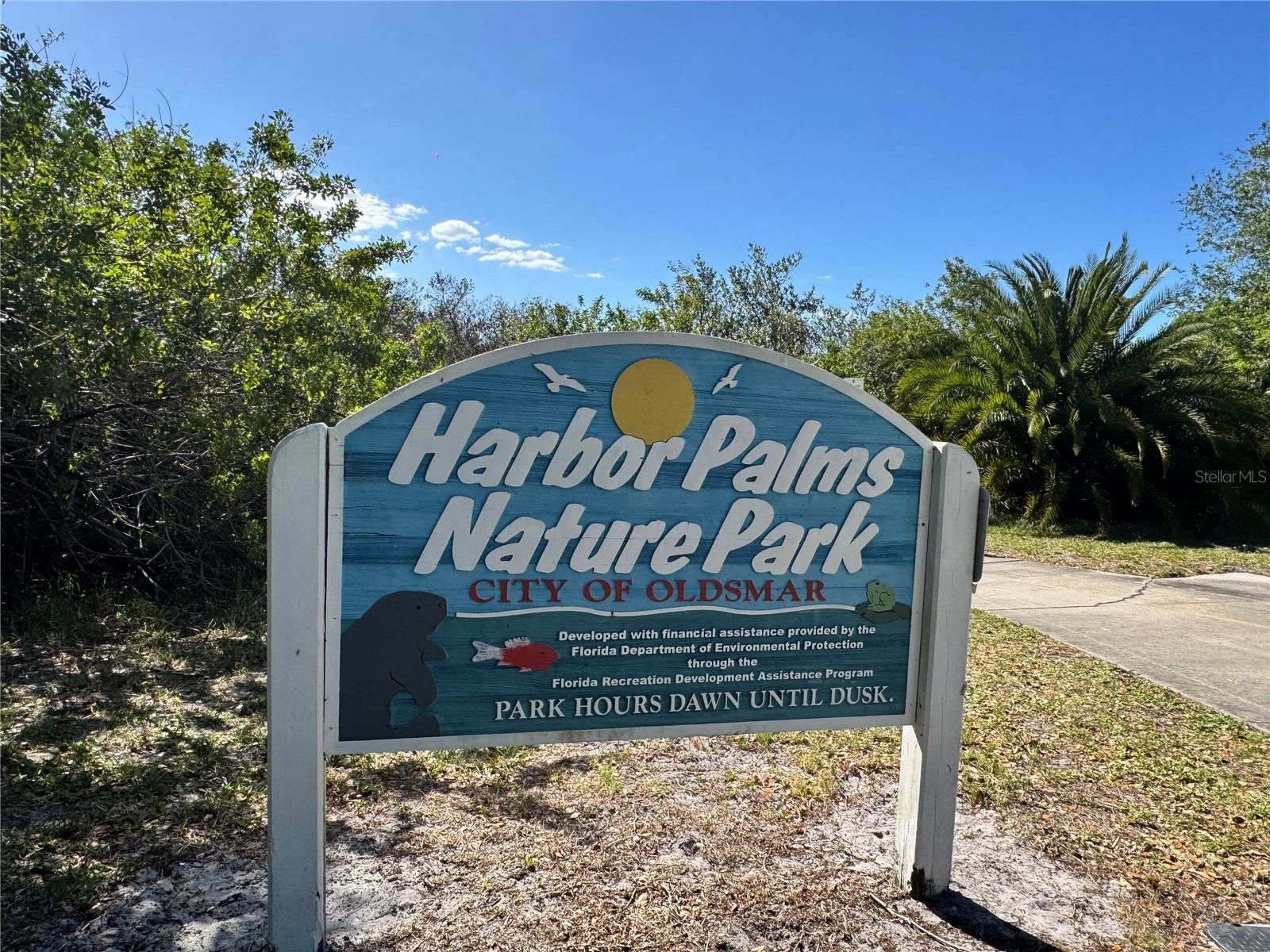 604 Limetree Drive Oldsmar FL 34677 O6401483 image27