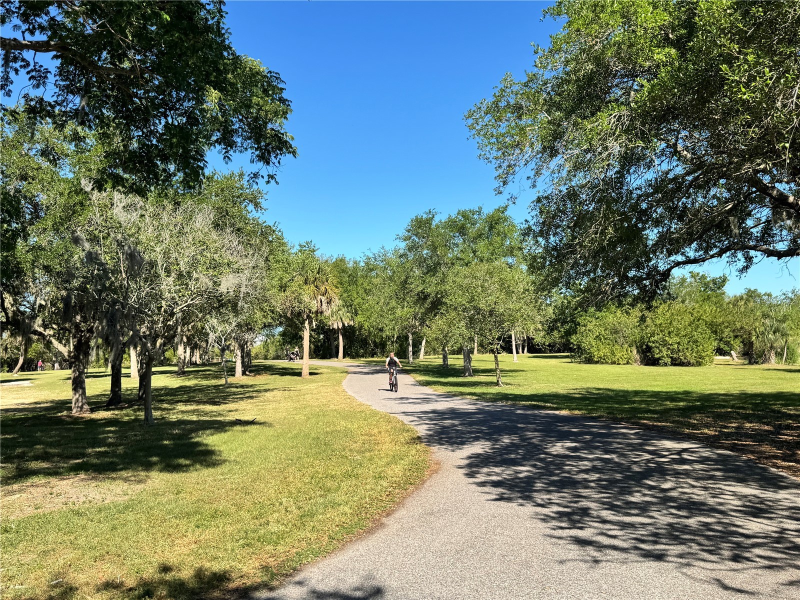 604 Limetree Drive Oldsmar FL 34677 O6401483 image29