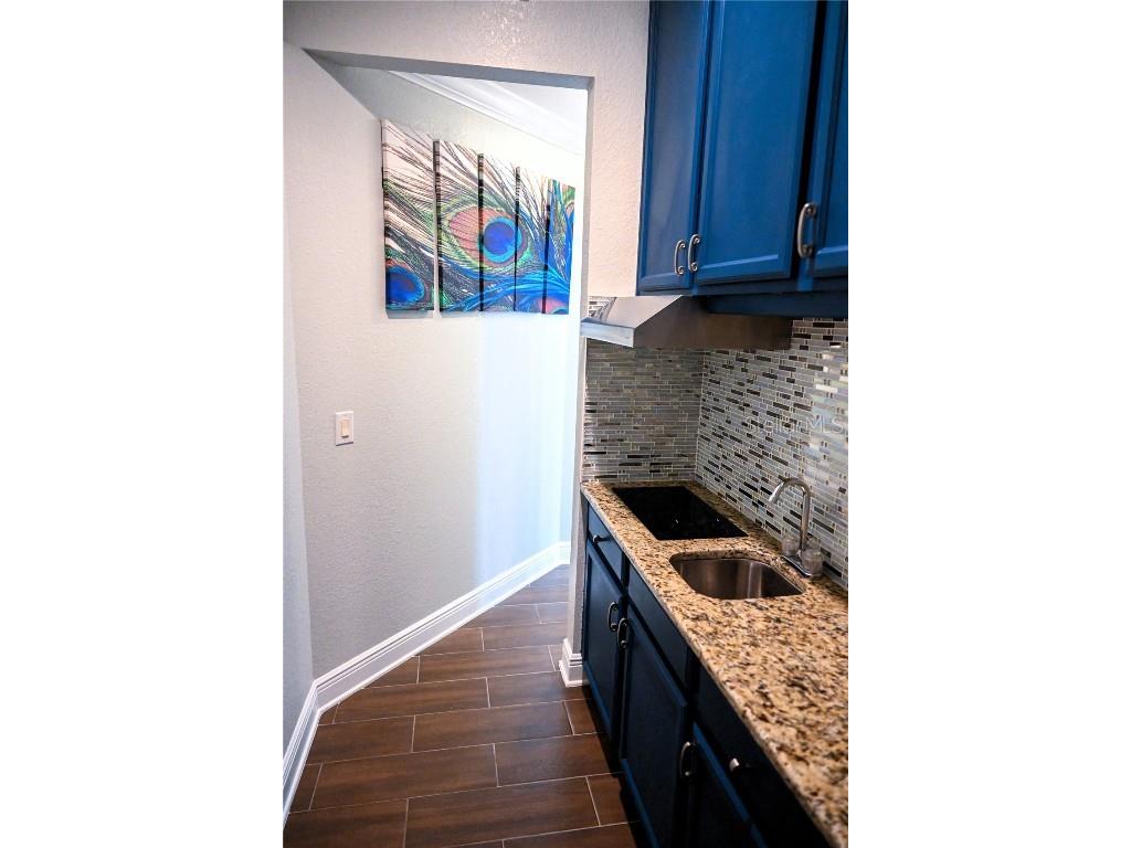 604 Morrill Court Valrico FL 33594 TB8421818 image16