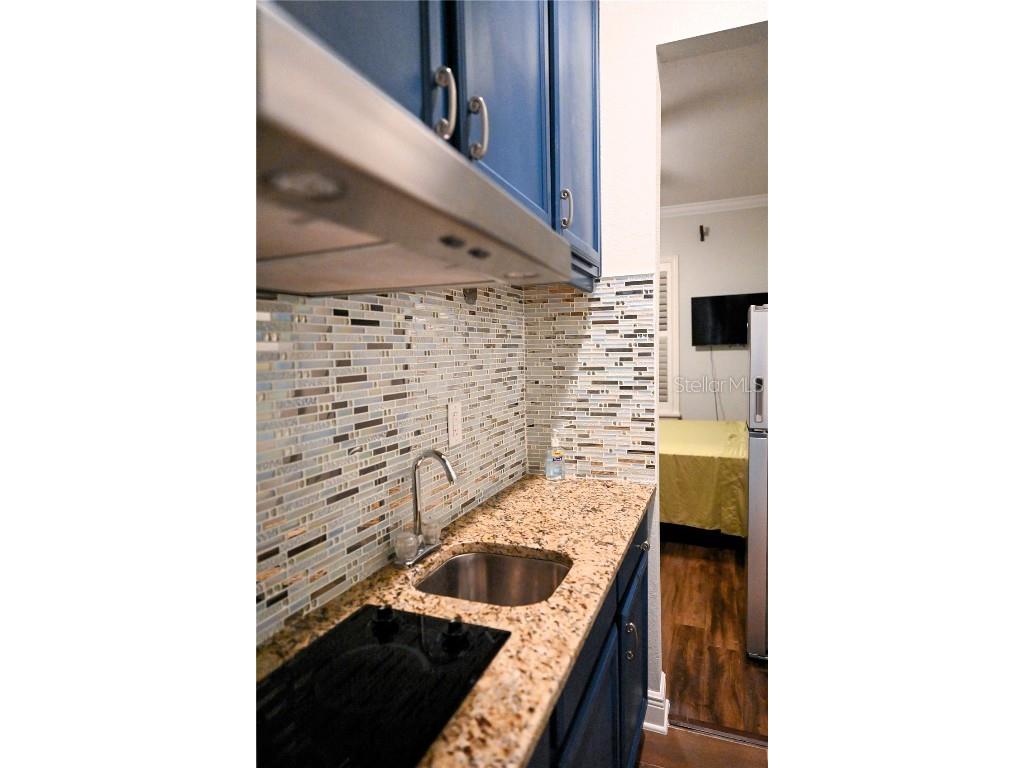 604 Morrill Court Valrico FL 33594 TB8421818 image17