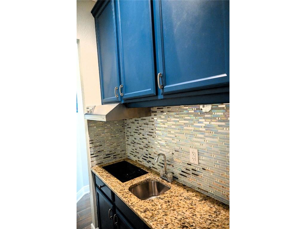 604 Morrill Court Valrico FL 33594 TB8421818 image18