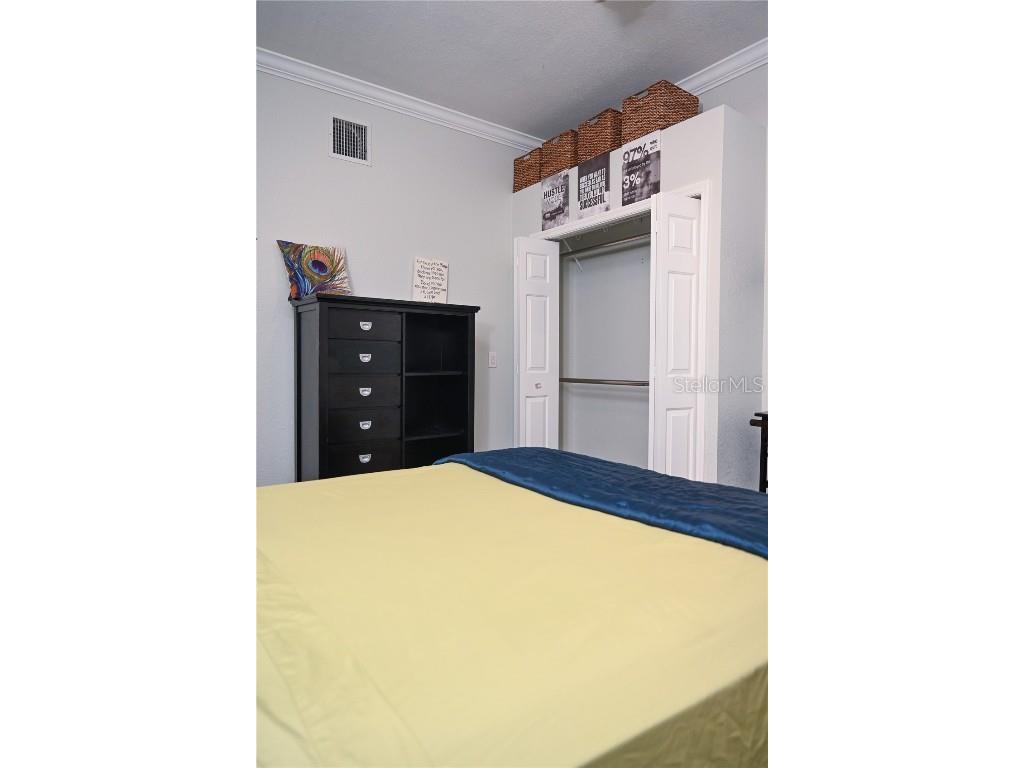 604 Morrill Court Valrico FL 33594 TB8421818 image5