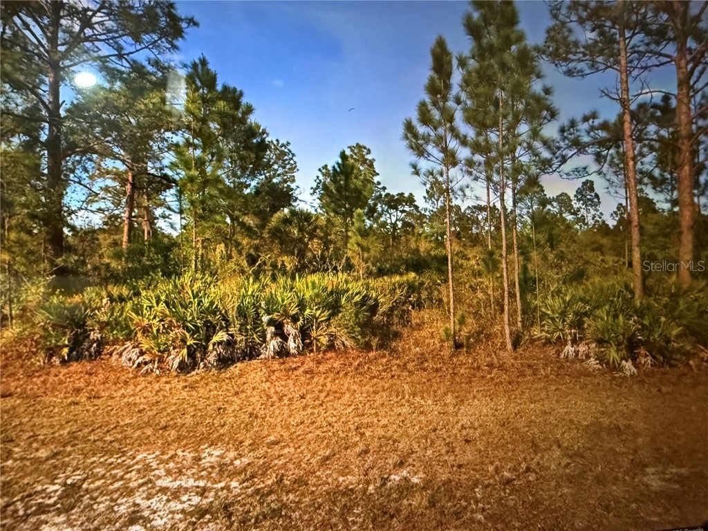 604 Orchid Drive Indian Lake Estates FL 33855 P4935529 image1