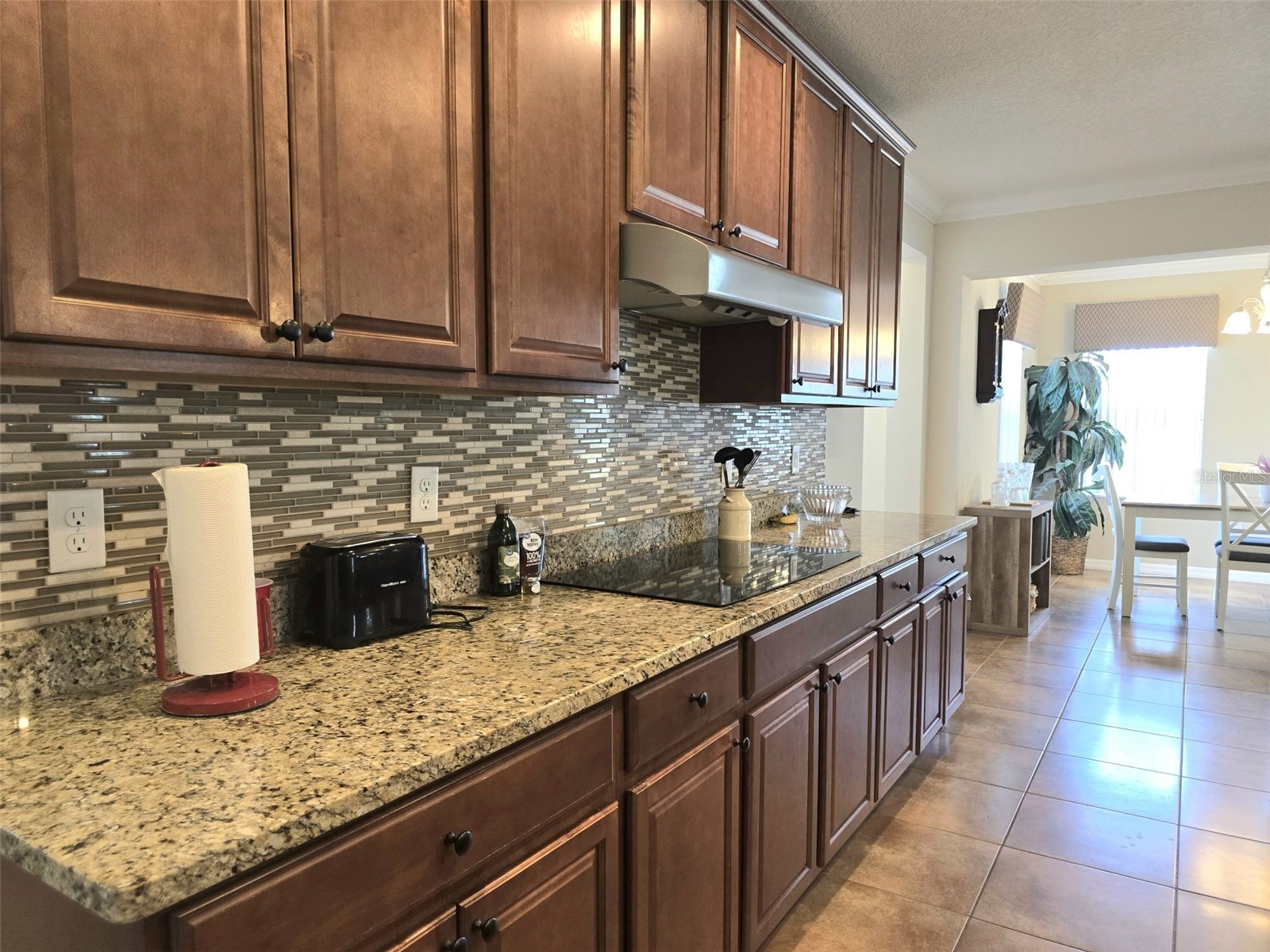 604 Stoneleafe Lane Haines City FL 33844 P4938984 image12