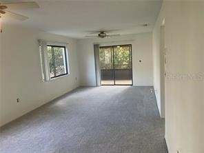 604 Summerhill Court #A Safety Harbor FL 34695 TB8434022 image4