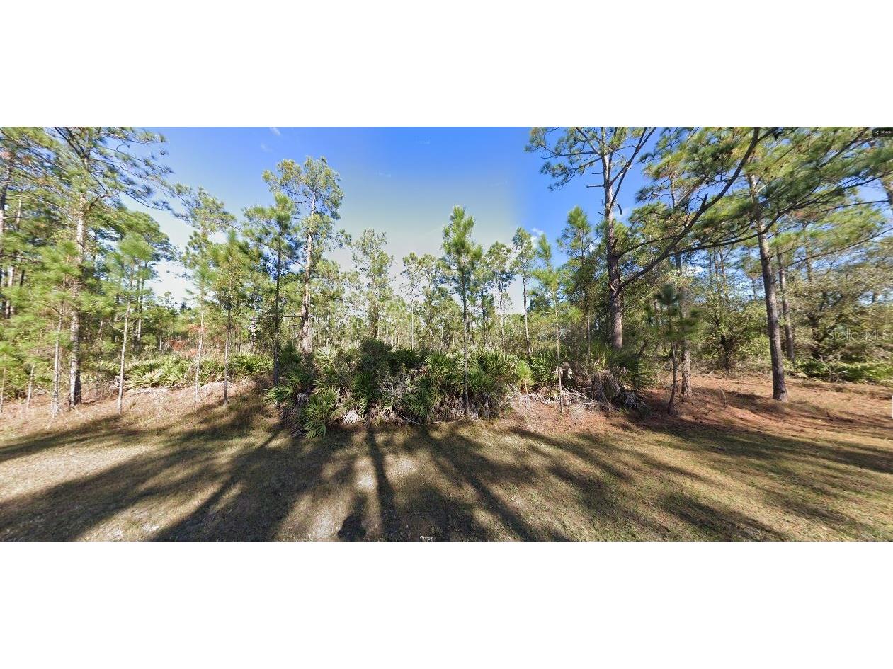 604 Tropicana Drive Indian Lake Estates FL 33855 O6312600 image5