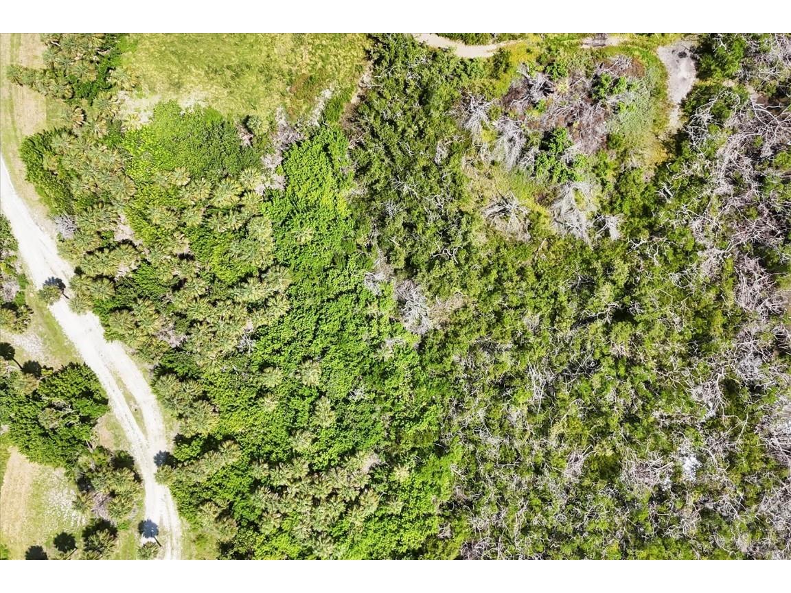 6040 Palm Point Way Placida FL 33946 - ICW D6143678 image11