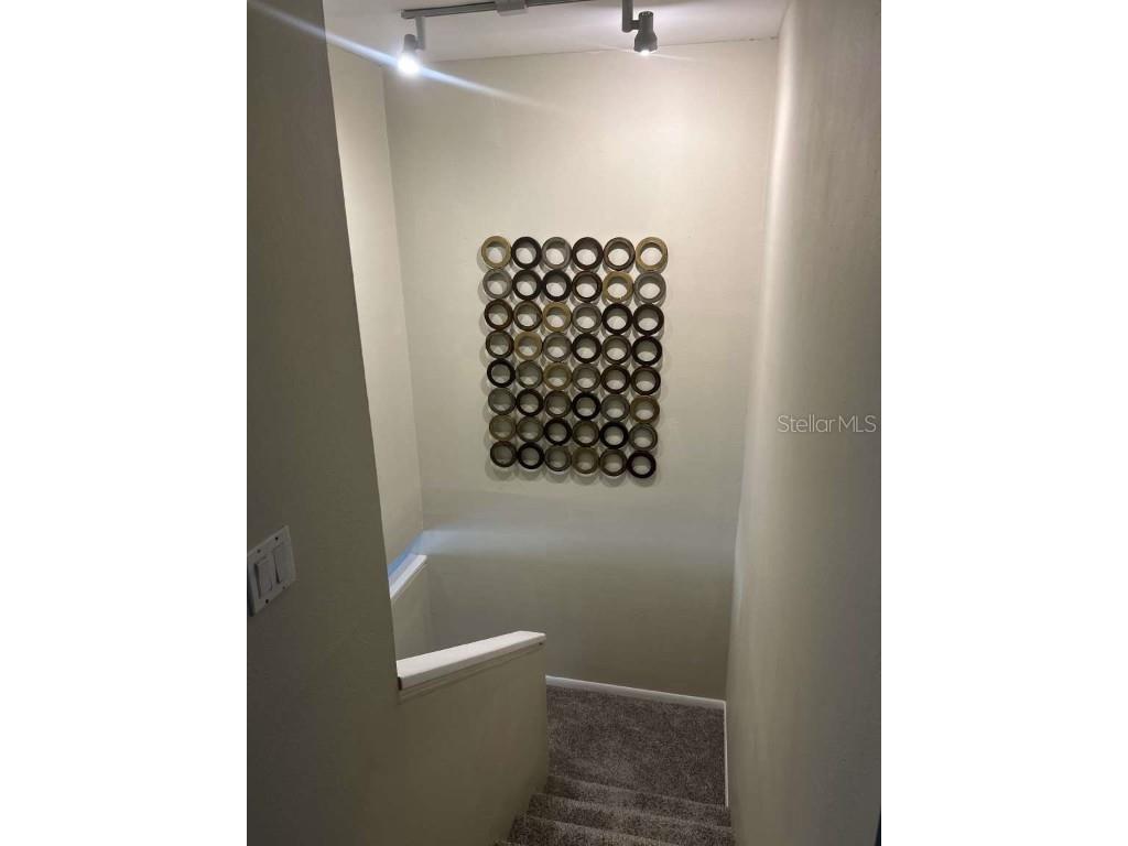 6040 River Trace Road Tampa FL 33617 TB8410278 image10