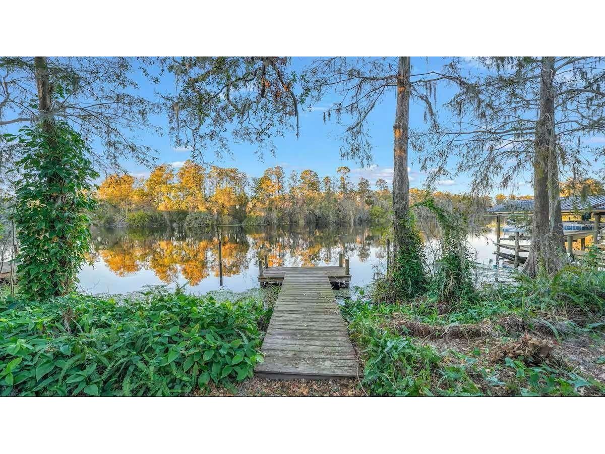 6040 River Trace Road Tampa FL 33617 TB8410278 image24