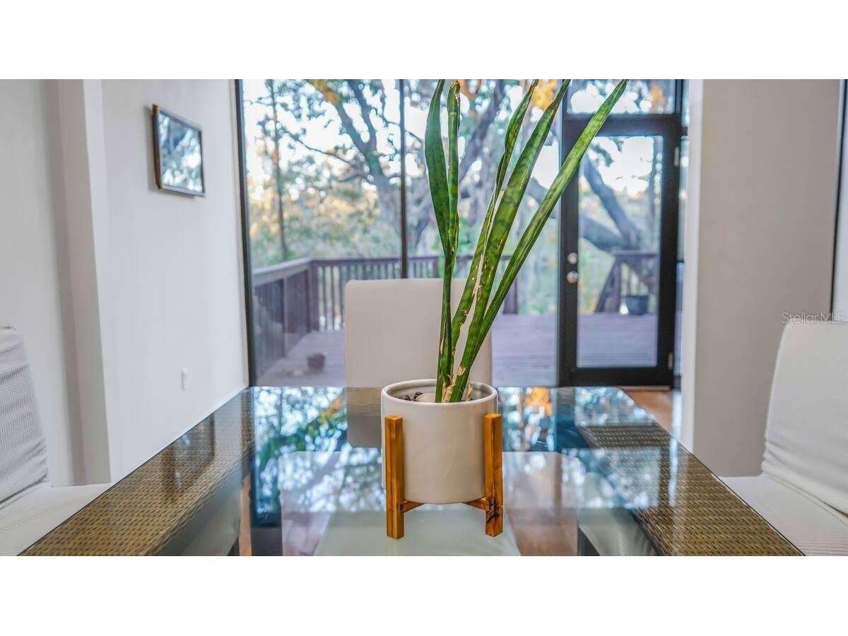 6040 River Trace Road Tampa FL 33617 TB8410278 image4