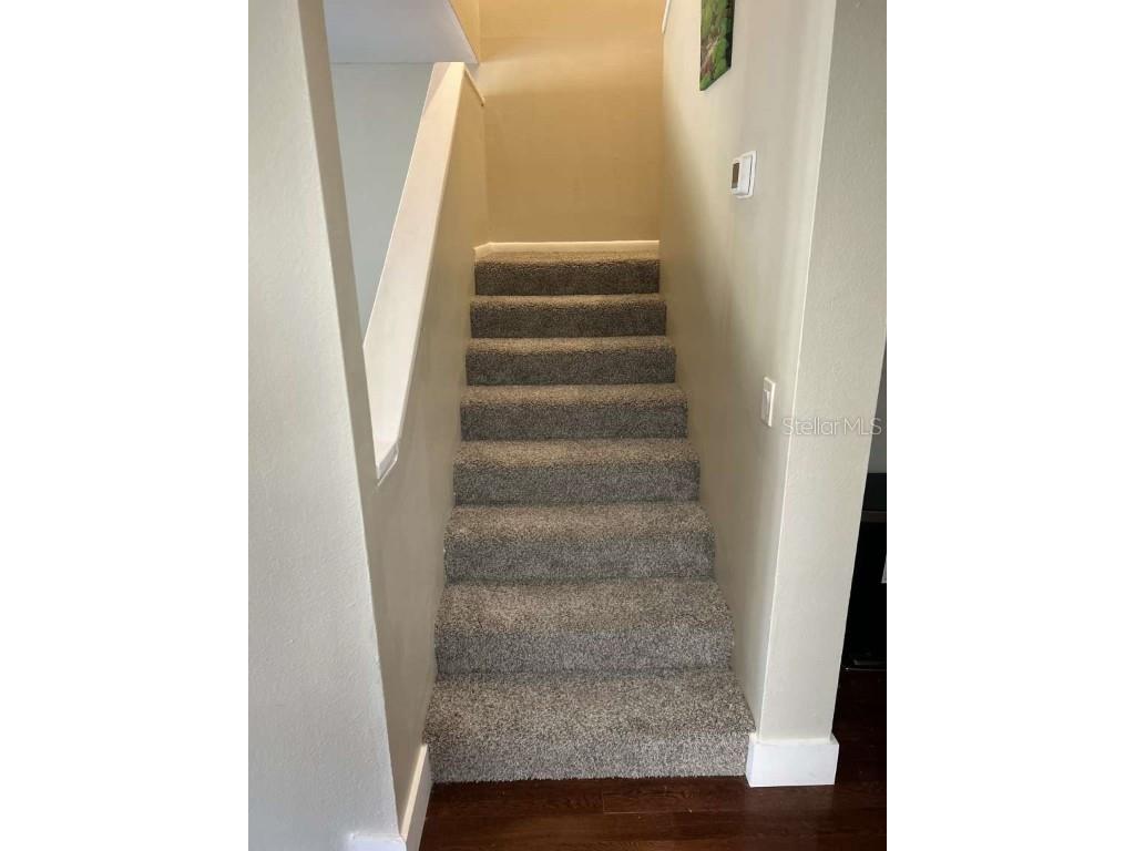 6040 River Trace Road Tampa FL 33617 TB8410278 image9