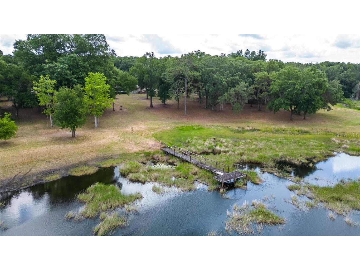 6040 S Highway 314a Ocklawaha FL 32179 - Sunrise Lake OM657077 image1
