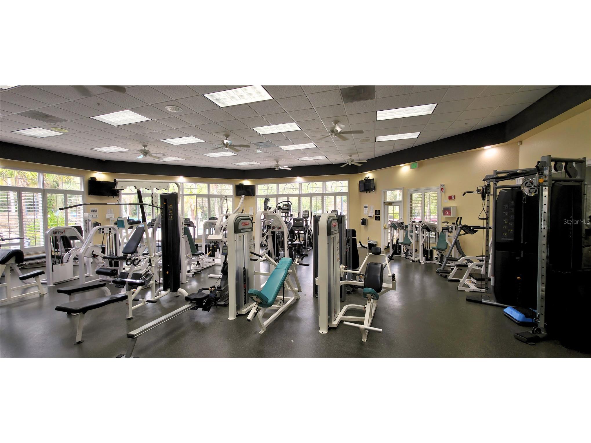 6041 Catlin Drive Tampa FL 33647 TB8484964 image41