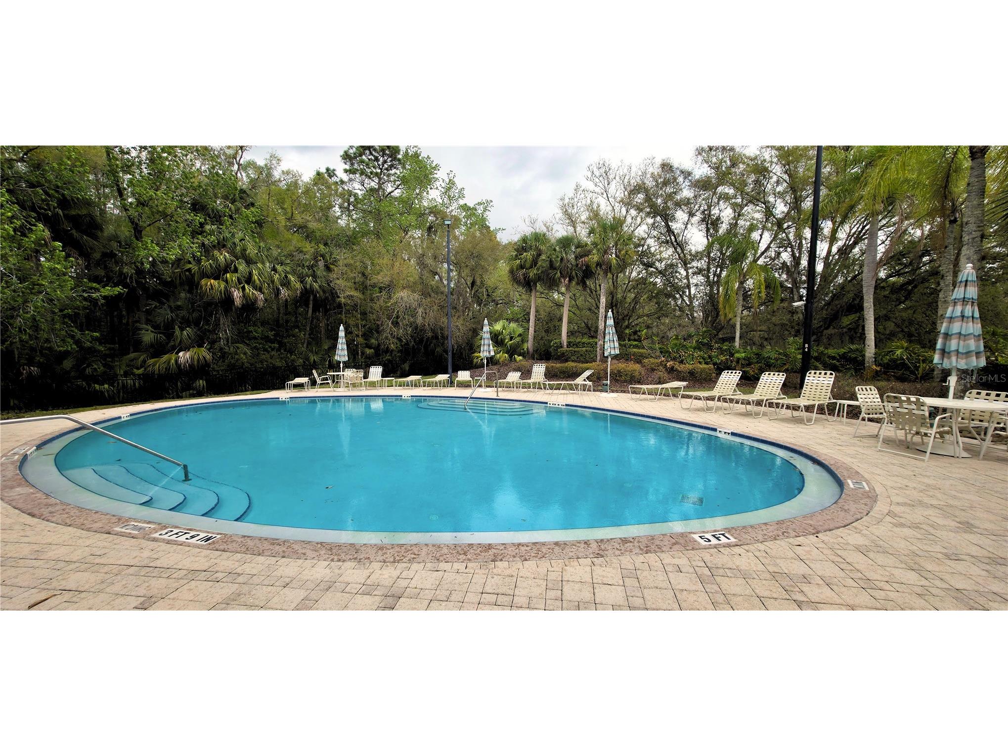 6041 Catlin Drive Tampa FL 33647 TB8484964 image42