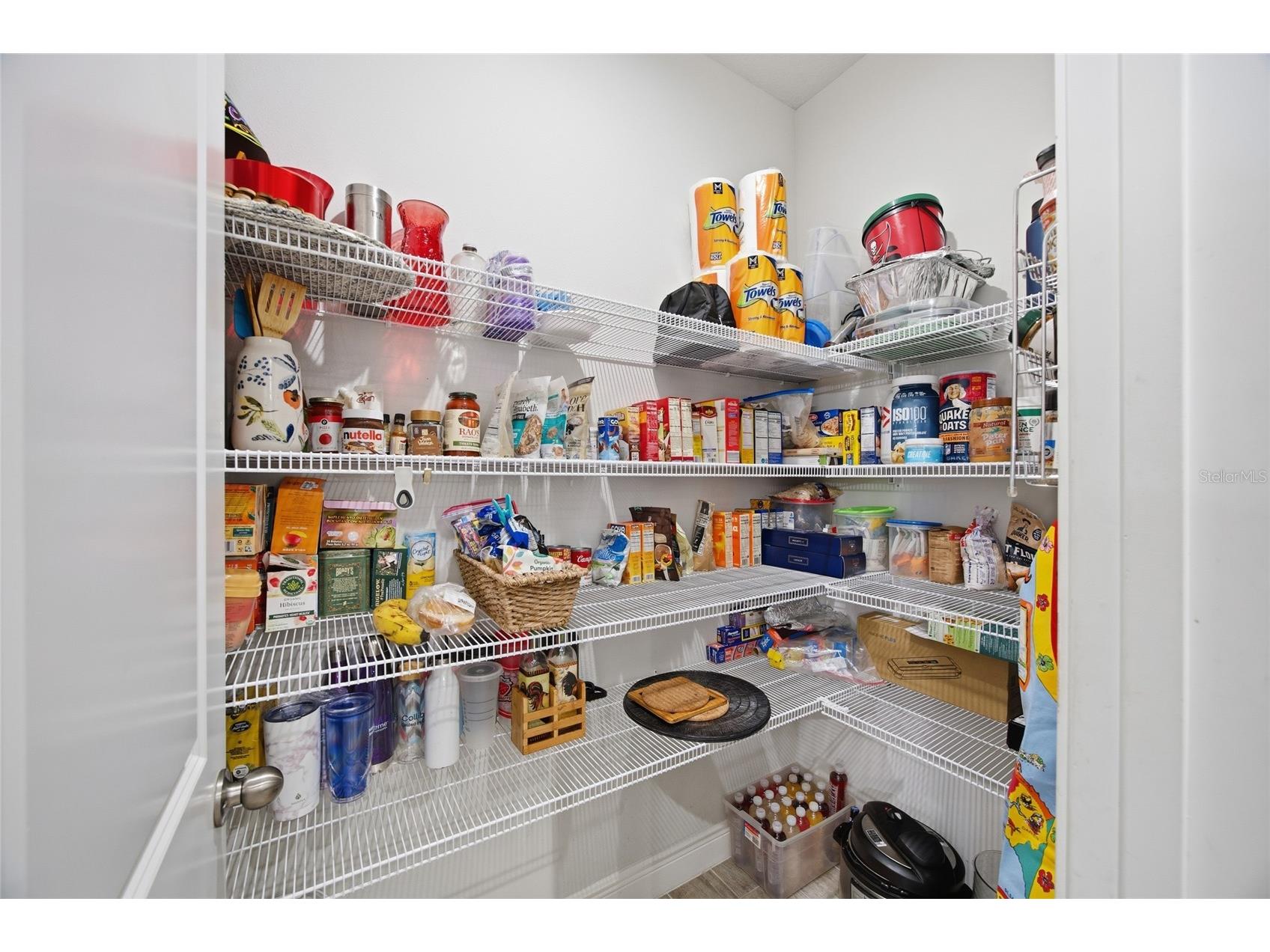 6041 Grand Sonata Avenue Lutz FL 33558 TB8452771 image11