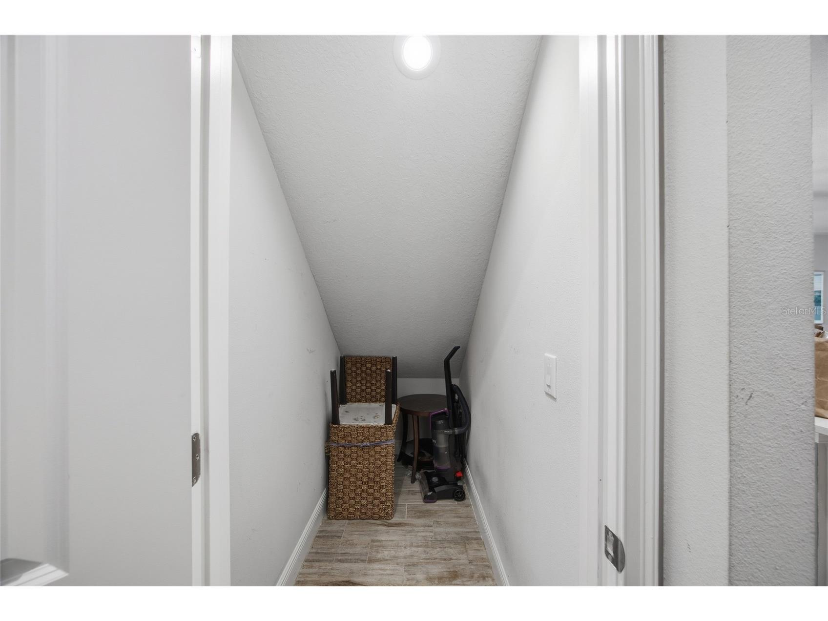 6041 Grand Sonata Avenue Lutz FL 33558 TB8452771 image16