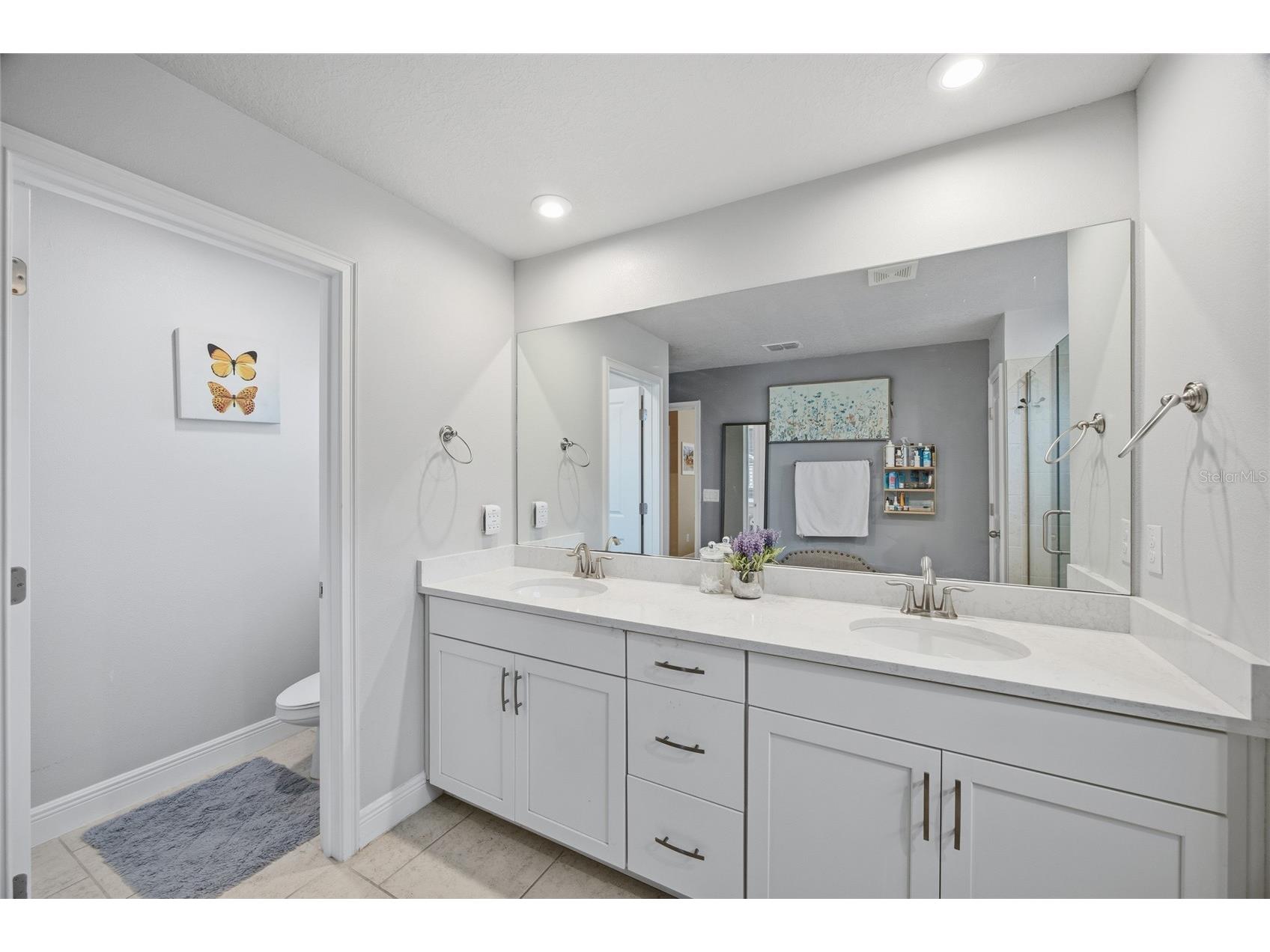 6041 Grand Sonata Avenue Lutz FL 33558 TB8452771 image22